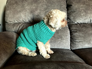 small dog sweater crochet pattern