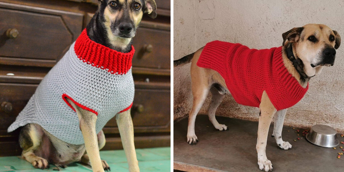 Dog Sweater Crochet Pattern