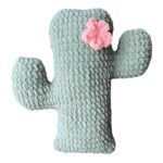 Crochet Cactus Succulent Pillow